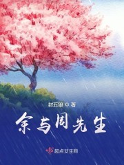 你好 周先生完整版